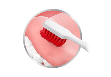 gum brushes for teeth